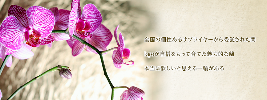 kgo Orchids Service Blog